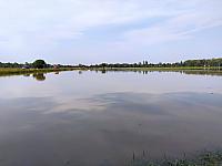 Chomoutov