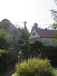 Třibřichy