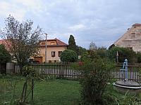 Třibřichy