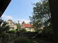 Třibřichy