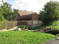 Třibřichy