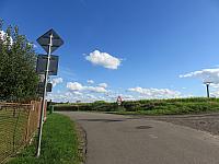 Třibřichy