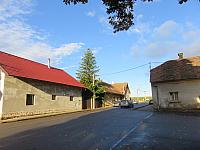 Třibřichy