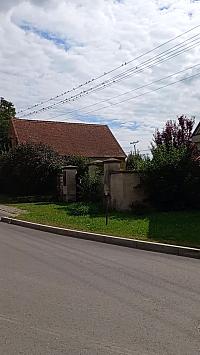 Třibřichy