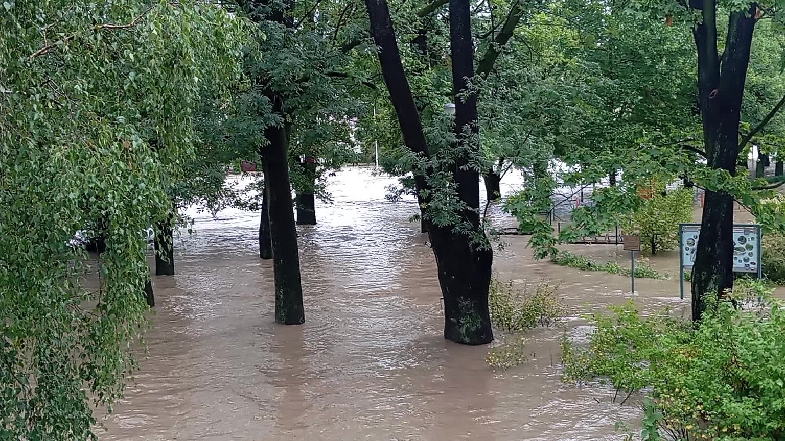 Český Těšín