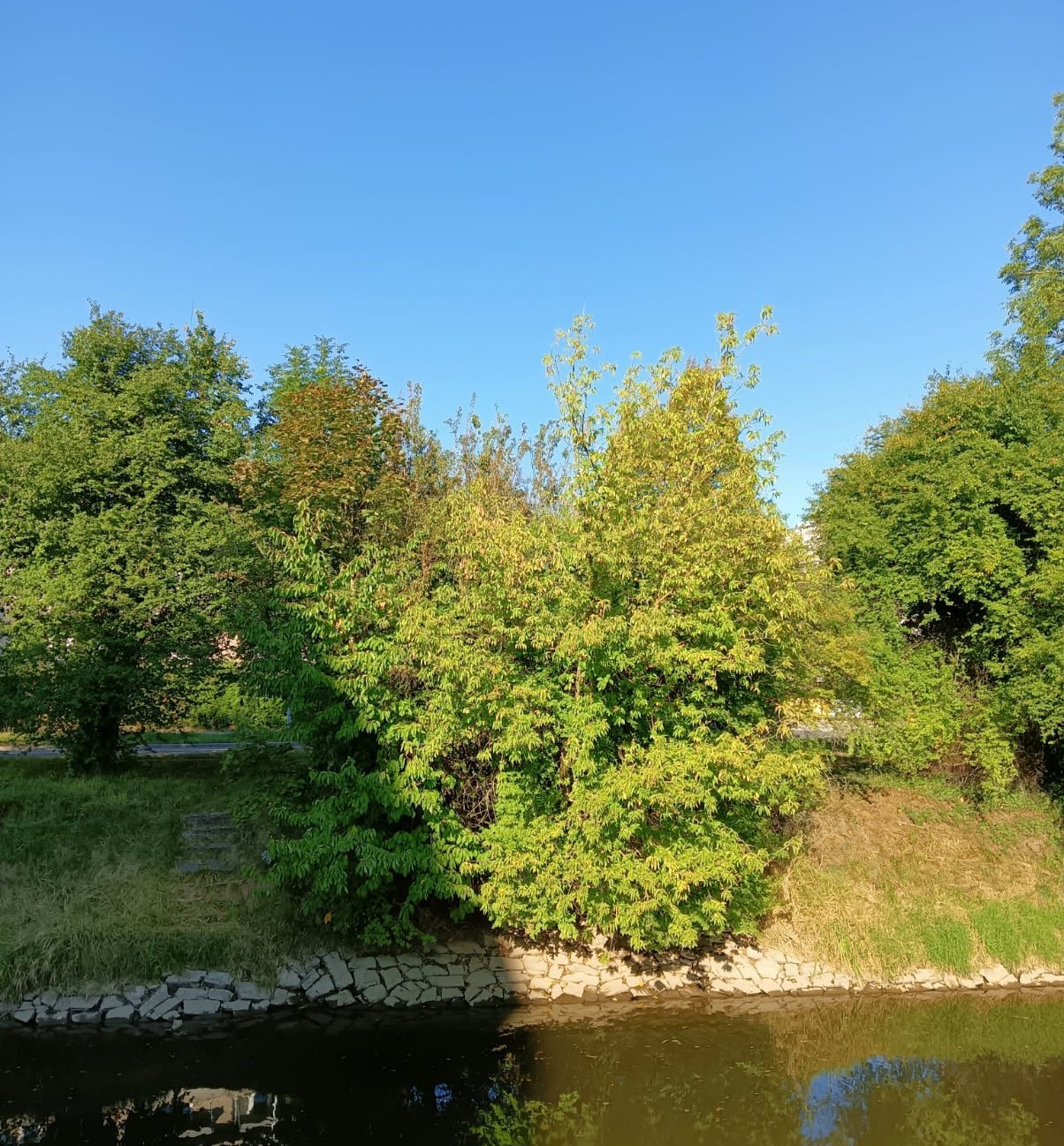 Olomouc-Lazecká
