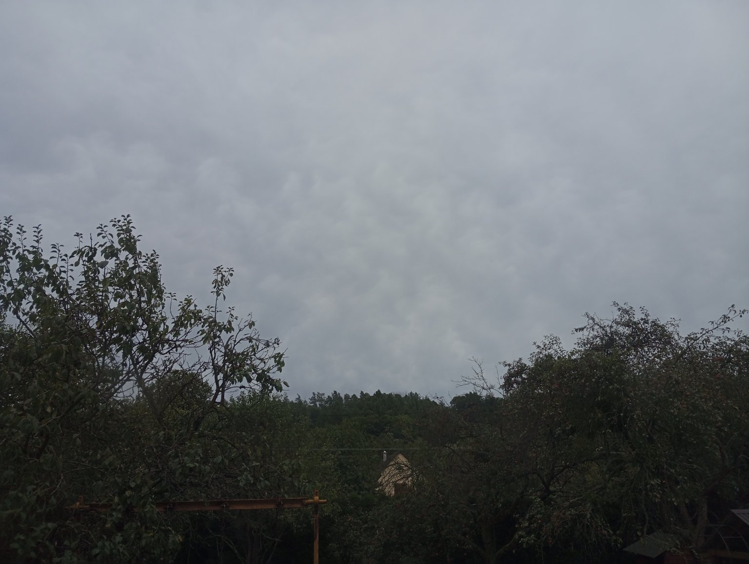 Kopřivnice, Vlčovice