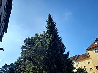 Pelhřimov