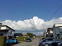 Nižná