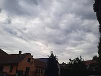 Olešná
