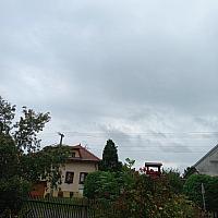 Třibřichy