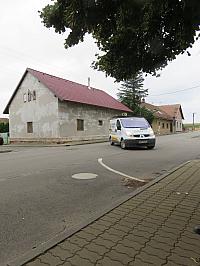 Třibřichy