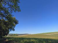 Rousínov