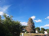 Olešná