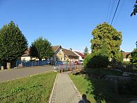 Třibřichy