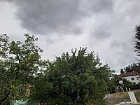 Olešná