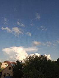Hvozdnica