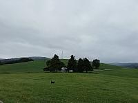 Nižná