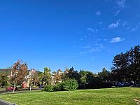 image_965487.jpg
