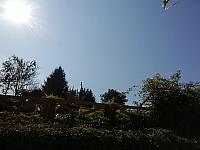 Nižná