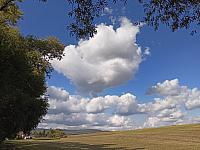Rousínov