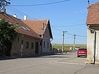 Třibřichy