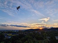 image_965592.jpg