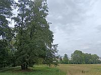 Olomouc-Lazce