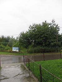 Třibřichy