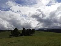 Nižná