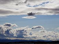 image_966146.jpg