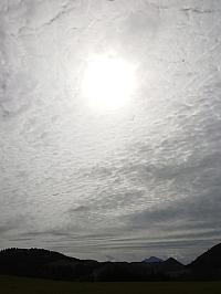 Nižná