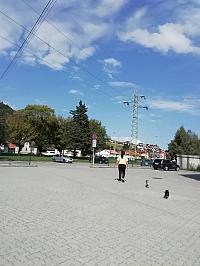 Nižná