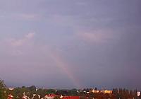 image_966548.jpg