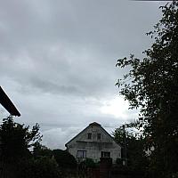 Třibřichy