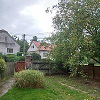 Třibřichy
