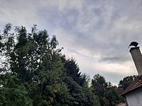 Olešná