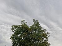 Fotografie