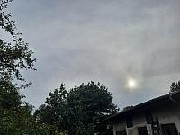 Olešná