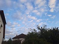 Olešná