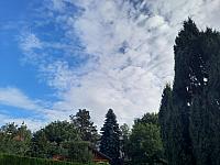 Olešná