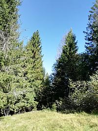 Čadca