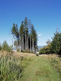 Čadca