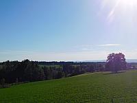 Němčice Zhoř