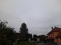 Olešná