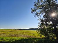 Lukovany