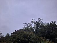 Olešná