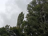 Olomouc-Pavlovičky