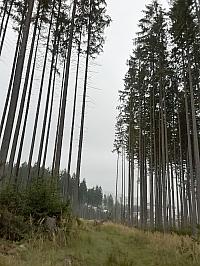 Čadca