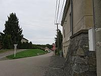 Třibřichy